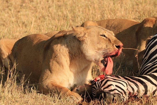 3-Day Safari in Serengeti & Ngorongoro(Mid-range) - FAQ