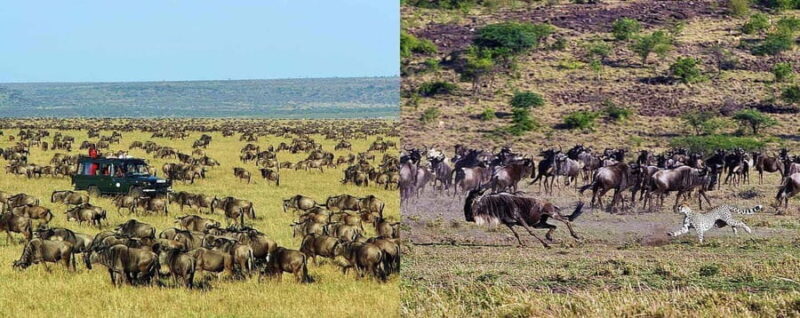 3-day safari in the Masai Mara camp on a LandCruiser 4x4jeep - Day 1: Nairobi to Masai Mara – A scenic start