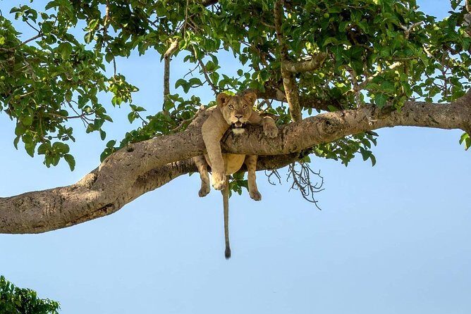3-Day Safari to Ngorongoro, Tarangire & Lake Manyara NP - The Itinerary in Detail