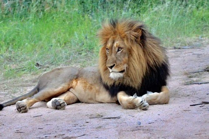 3-Day Safari to Ngorongoro, Tarangire & Lake Manyara NP - The Sum Up