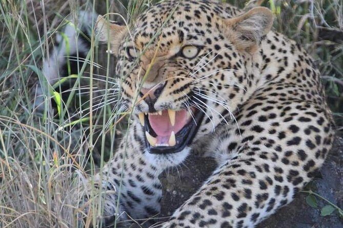 3-Day Safari to Ngorongoro, Tarangire & Lake Manyara NP - FAQs
