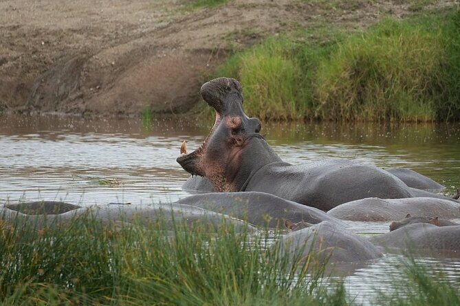 3 Day Safari to Serengeti National Park and Ngorongoro Crater - Who Would Enjoy This Tour?
