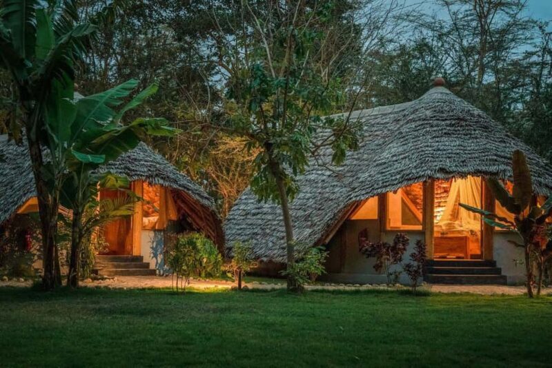 3-Day Safari to Tarangire, Ngorongoro, & Kilimanjaro - The Experience: Authenticity, Comfort, and Adventure