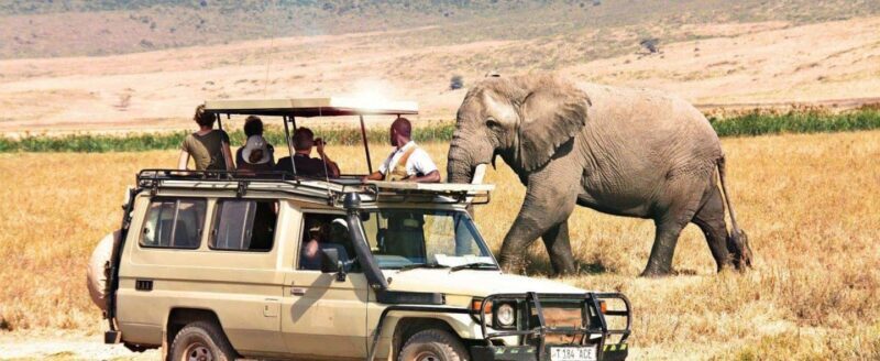 3-Day Safari to Tarangire, Ngorongoro, & Kilimanjaro - FAQ
