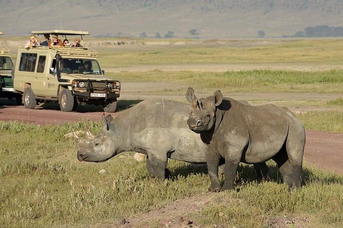 3-Day Safari Tour to Tarangire National Park, Lake Manyara National Park and Ngorongoro Crater from Arusha - Frequently Asked Questions