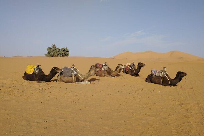 3-Day Sahara Desert Tour: Marrakech to Merzouga - Key Points
