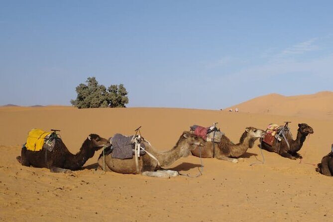 3-Day Sahara Desert Tour: Marrakech to Merzouga - What Makes This Tour Stand Out?