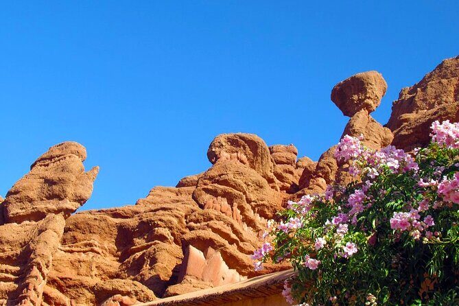 3-Day Sahara Guided Tour from Marrakech to Merzouga Desert - Who Will Love This Tour?