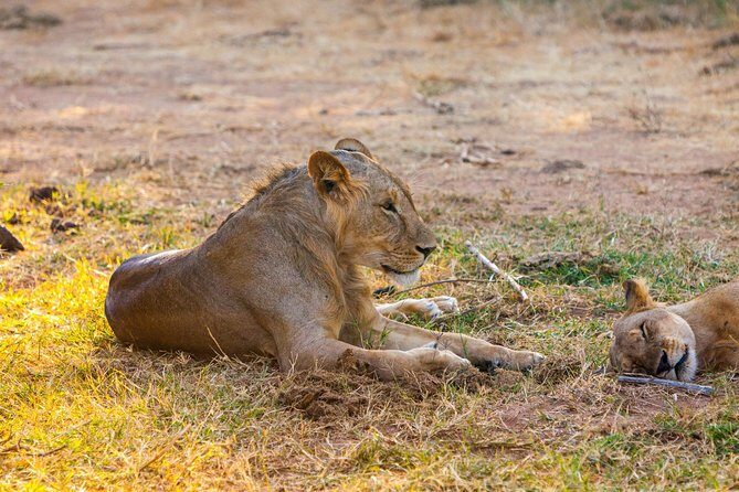 3-Day Samburu safari from Nairobi - Day 2: Full-Day Wildlife Encounters and a Safari to Shaba