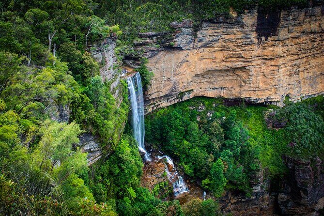 3 Day Scenic Tour of Blue Mountains from Sydney - Value for Money and Overall Experience