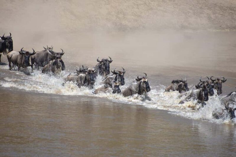 3-Day Serengeti National Park Safari - Key Points