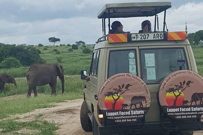 3-Day Serengeti NP & Ngorongoro Crater Safari - Final Thoughts