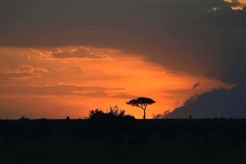 3-Day Small Group Safari to Maasai Mara: Adventure Awaits - Authentic Experiences and Traveler Feedback