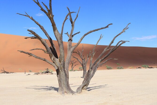 3 Day Sossusvlei Camping Schedule and Sandwich Habor - What the Reviews Say