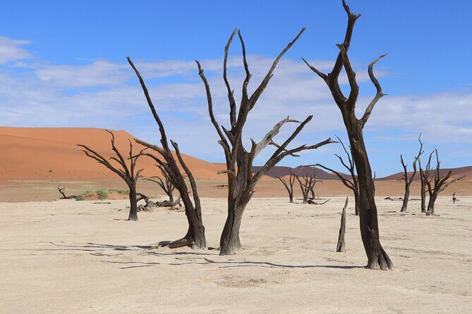 3 Day Sossusvlei Camping Schedule and Sandwich Habor - Who Should Consider This Tour?
