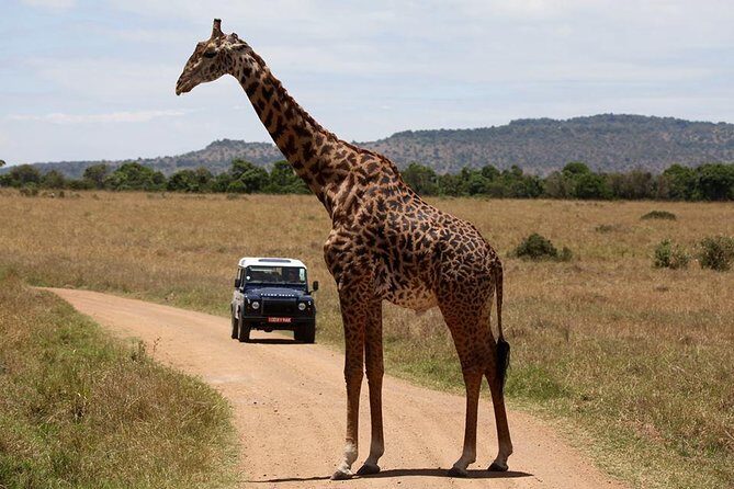 3-Day Sweetwaters: Ol Pejeta Conservancy Safari from Nairobi - Analyzing the Cost: Is It Good Value?