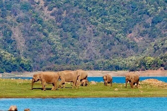 3 Day Taj Mahal and Jim Corbett National Park Safari Tour - What’s Included and What’s Not