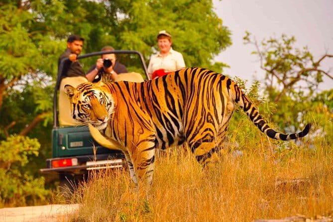 3 Day Taj Mahal and Jim Corbett National Park Safari Tour - FAQ