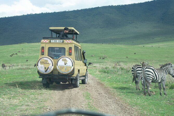 3-Day Tanzania Group Safari-Tarangire, Ngorongoro & Lake Manyara - Day 3: Lake Manyara and Return to Arusha
