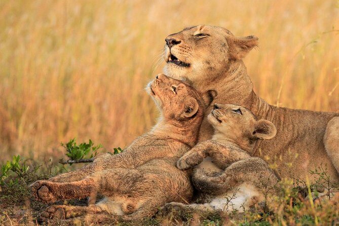 3 Day Tanzania Luxury Safari - Final Thoughts