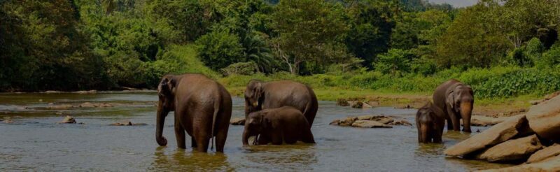3-Day: Tanzania Safari - Introduction: A Compact Tanzanian Adventure