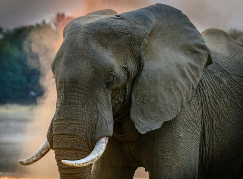 3-Day Tanzania Safari: Serengeti & Ngorongoro Crater . - Frequently Asked Questions