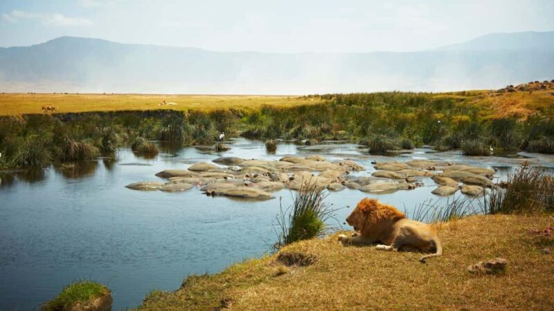 3 Day Tanzania Safari - An In-Depth Look at the Safari Itinerary