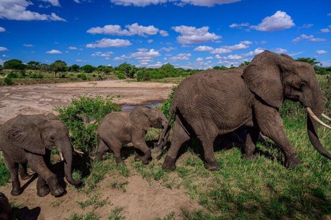 3-Day Tarangire, Lake Manyara and Ngorongoro - The Sum Up
