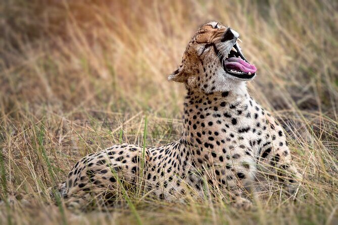 3-Day Tarangire, Lake Manyara and Ngorongoro - FAQ