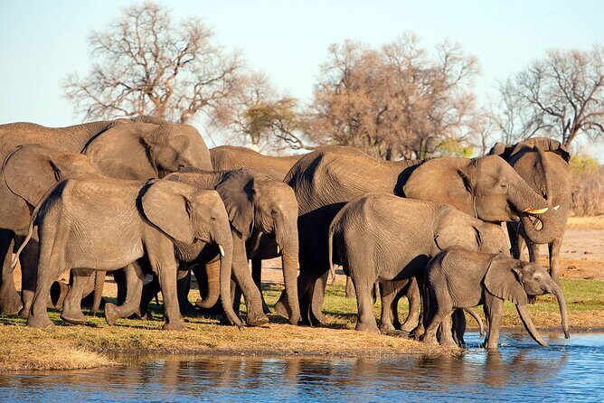 3-Day Tarangire, Ngorongoro and Lake Manyara Camping Safari - An Overview of the Tour