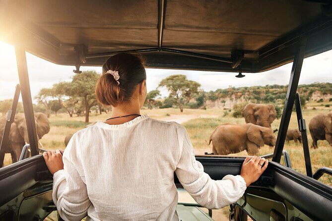 3-Day Tarangire, Ngorongoro and Lake Manyara Camping Safari - FAQ