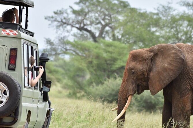 3 Day - Tarangire, Ngorongoro Crater Lake Manyara- Mid - Range - Day 2: Ngorongoro Crater – The "8th Natural Wonder"