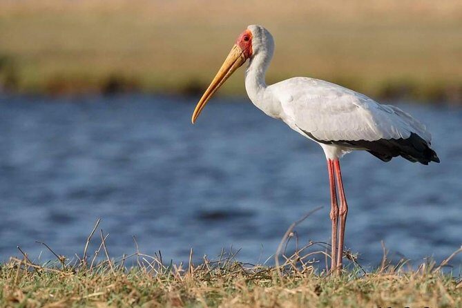 3-Day Tarangire NP, Manyara NP & Ngorongoro Crater - Key Points