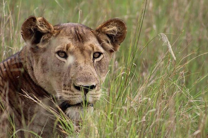 3-Day Tarangire NP, Manyara NP & Ngorongoro Crater - Transportation and Group Size