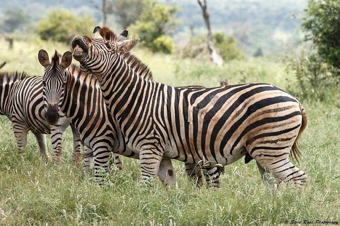 3-Day Tarangire NP, Manyara NP & Ngorongoro Crater - Food and Accommodation