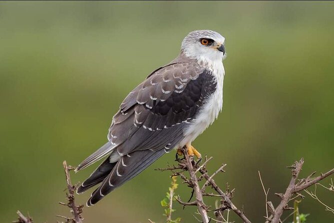 3-Day Tarangire NP, Manyara NP & Ngorongoro Crater - The Sum Up
