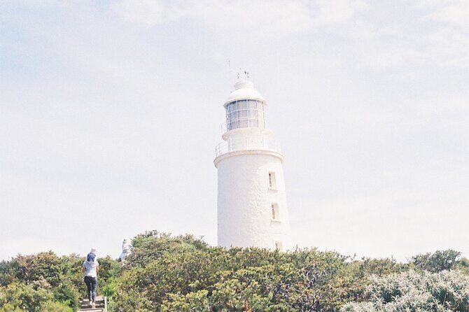 3 Day Tassie Tour Bundle Hobart, Wineglass Bay and Bruny Island - Transport, Group Size, and Overall Value