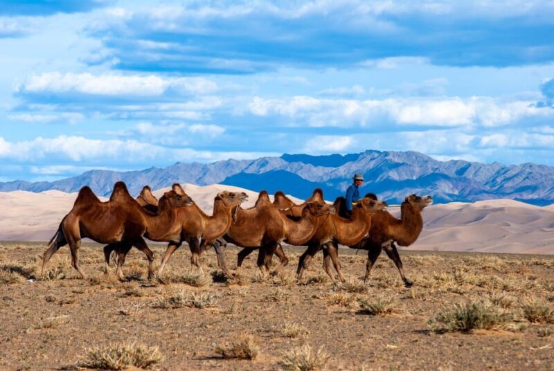 3-Day Terelj and Khar kharom /Horse ride and camel ride - FAQs