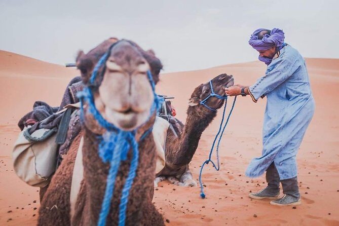 3 Day to Sahara Desert Trip From/To Marrakech - What Travelers Have Said