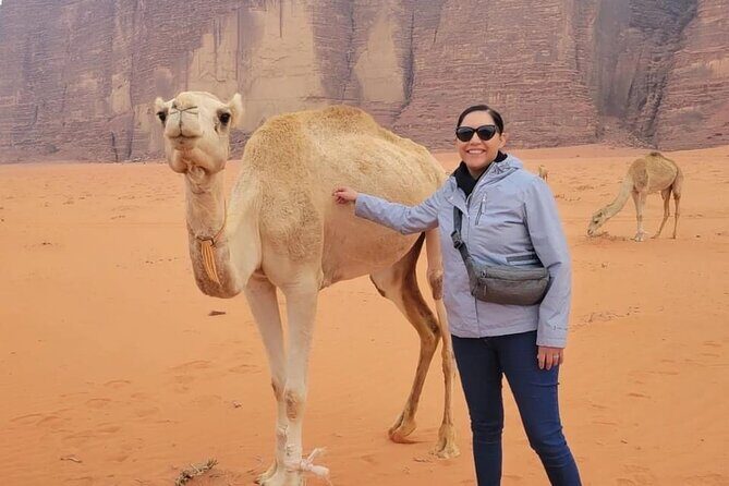 3-Day Tour from Amman: Jerash, Ajloun, Petra, Wadi Rum & Dead SEA - What Makes This Tour Stand Out?