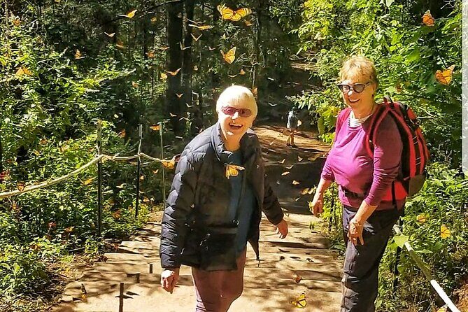 3 day Tour to Discover the Magic of Mexico & Monarch Butterflies - Frequently Asked Questions
