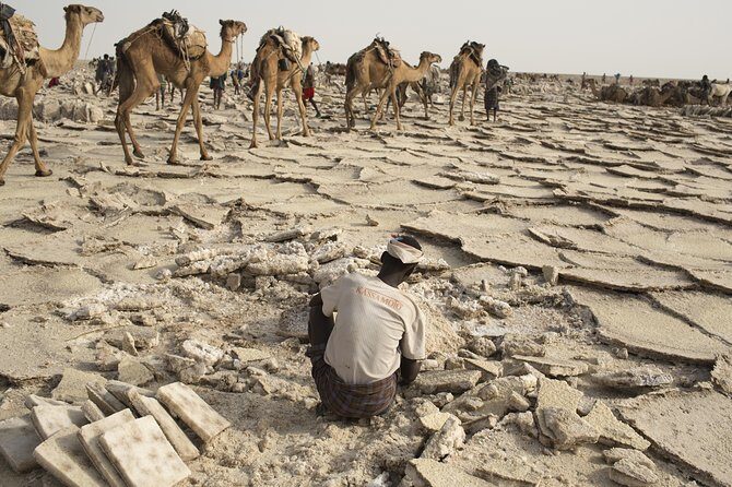 3 Day Tour to the Danakil Depression, Dallol, and Earta'le Volcano - Final Thoughts: Who Is This Tour Best For?