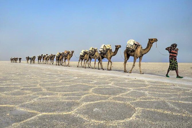 3 Day Tour to the Danakil Depression, Dallol, and Earta'le Volcano - FAQ