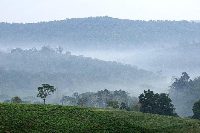 3-Day Tour to Uganda - Gorilla Trekking Bwindi Forest - Exploring the Itinerary in Detail