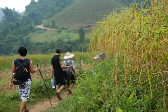 3-Day Trek in Amazing Muong Hoa Valley & ethnic Homestay - The Practicalities: What’s Included and What’s Not