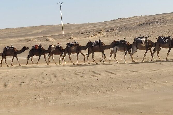 3-Day Trip from Fez to Marrakech via Merzouga Desert - Day 3: Marrakech Bound — Kasbahs, Studios, and Mountain Passes
