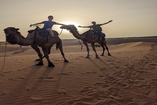 3-Day Trip from Fez to Marrakech via Merzouga Desert - Who Should Consider This Tour?