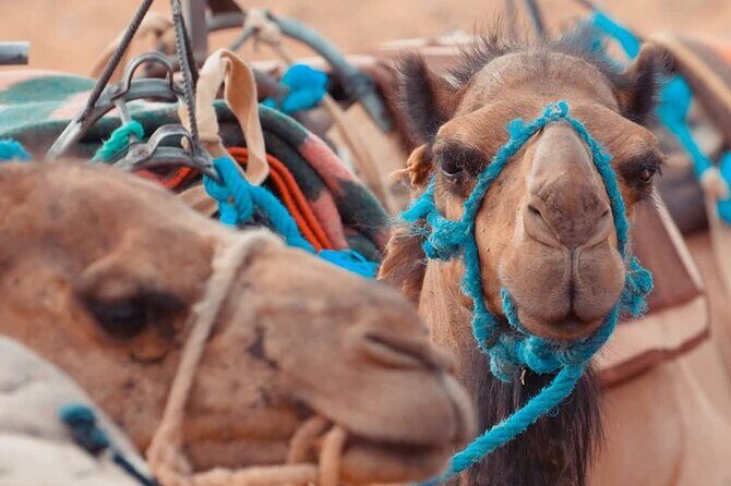 3 Day Trip from Marrakech to Merzouga - Exploring the Itinerary in Detail