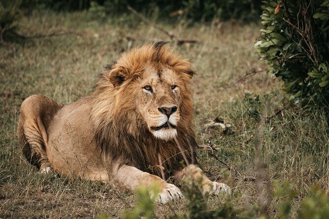 3-Day Tsavo East and Tsavo West Safari - Final Thoughts