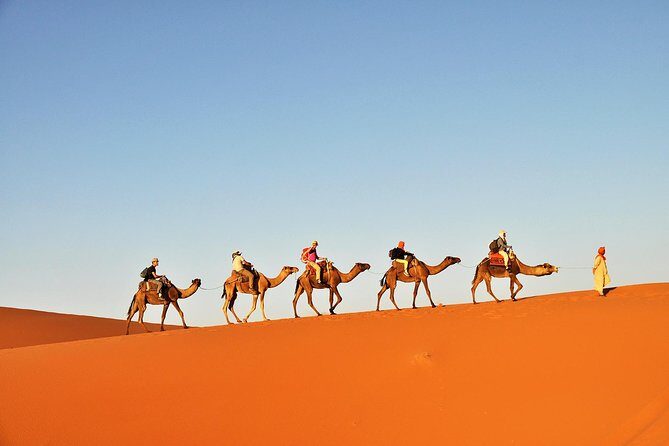 3-Day Tunisia Sahara Desert Camel Trek from Douz - Key Points